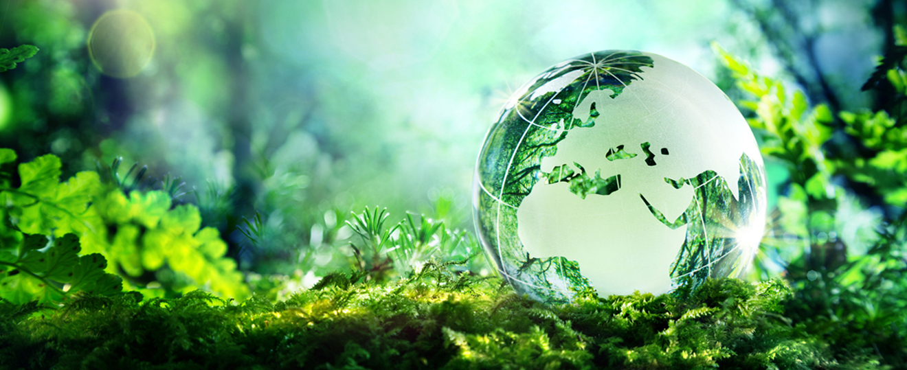 sustainability co in yokogawa electric corporation