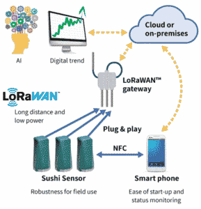 Sensoren und LoRaWAN