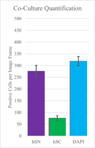 graph axosim