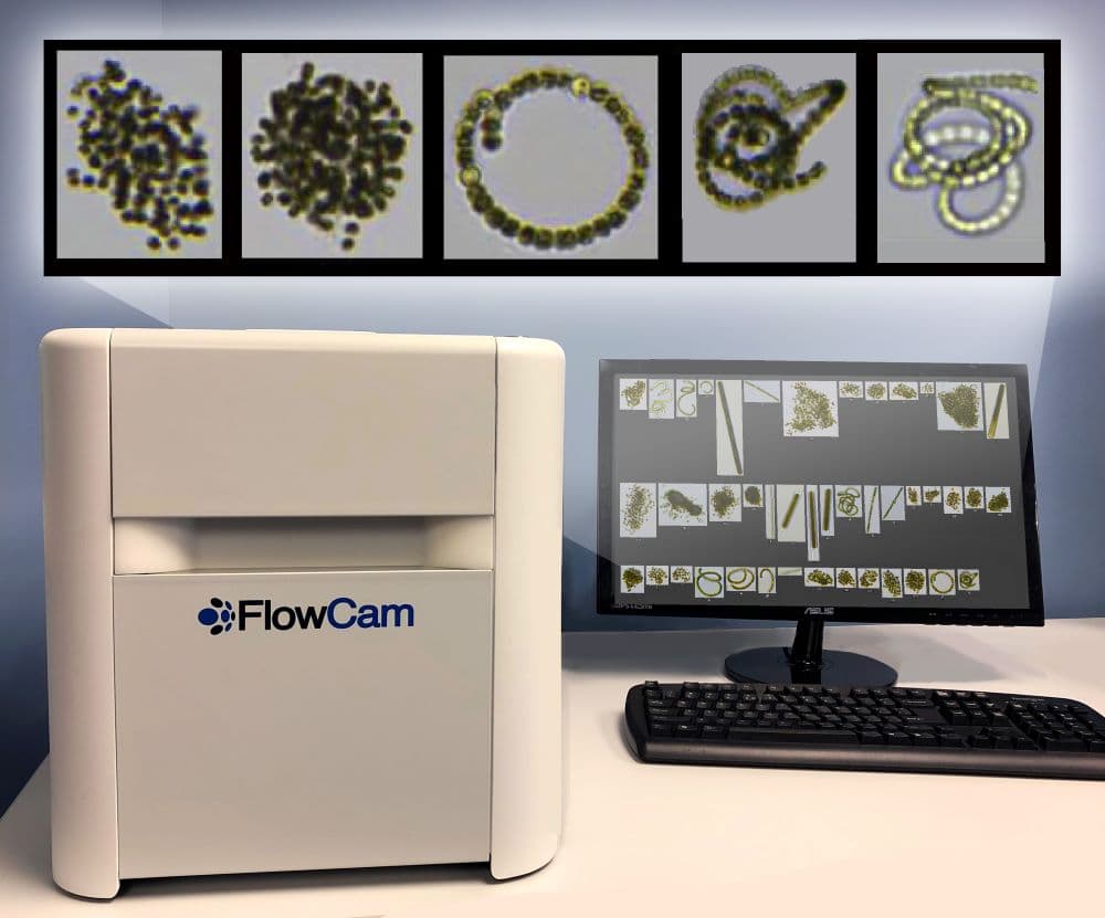 FlowCam Cyano for cyanobacteria monitoring