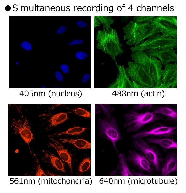 faster imaging CV8000