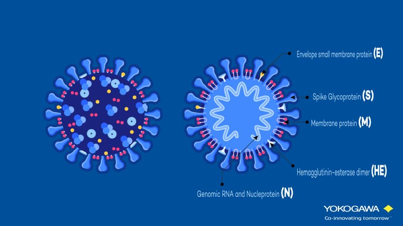 genomic-sequencing the covid 19-virus