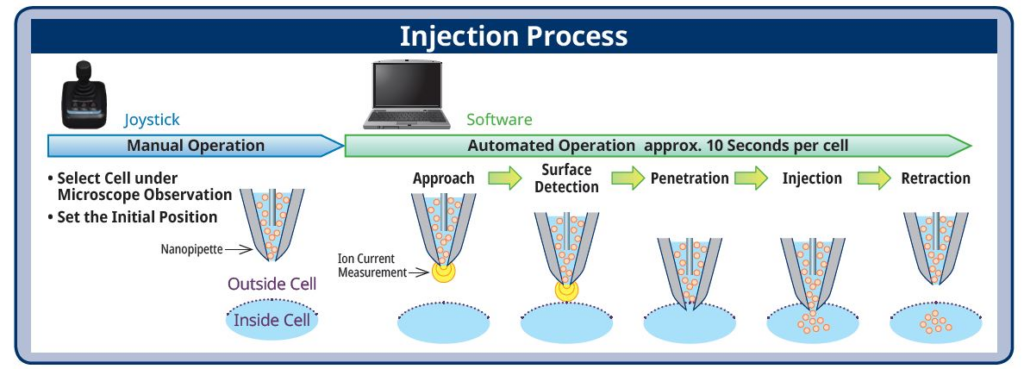 single-cell injection with nanopipette