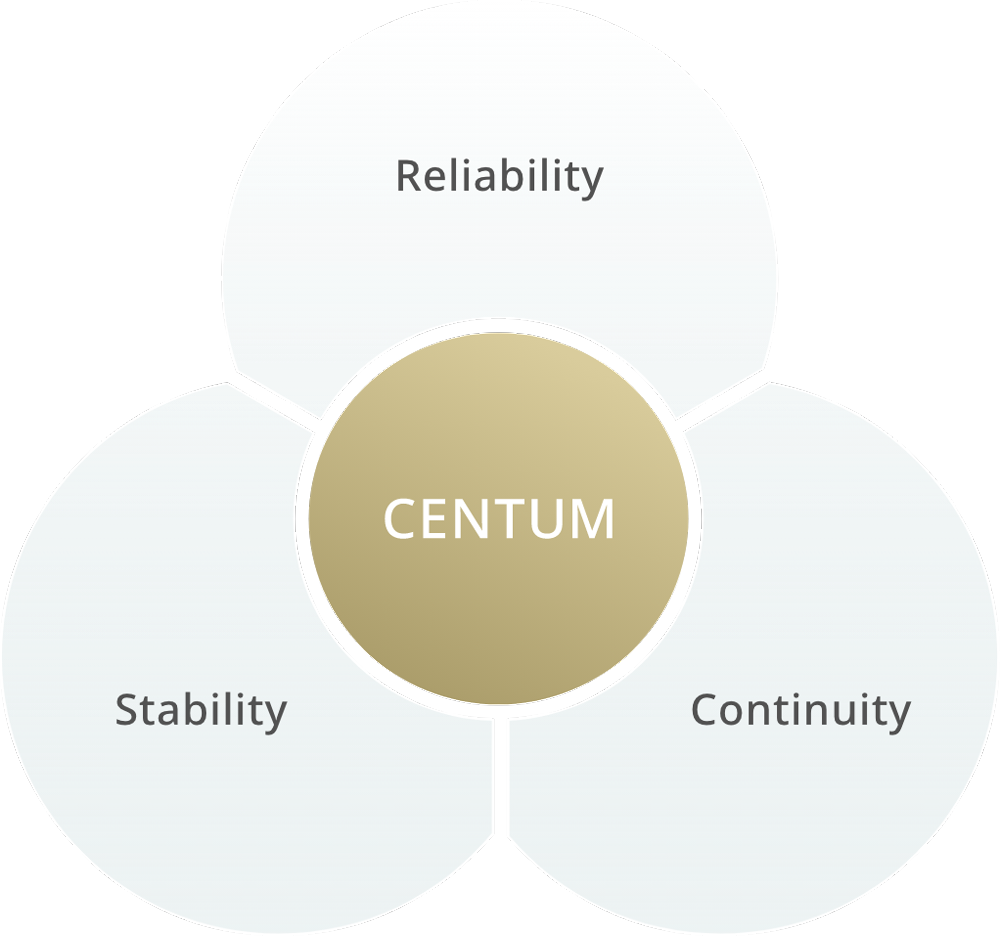 CENTUM diagram with Reliability, Stability, Continuity