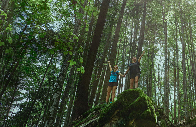 Toward a Circular Society  with Clean Technology: Biomass Materials