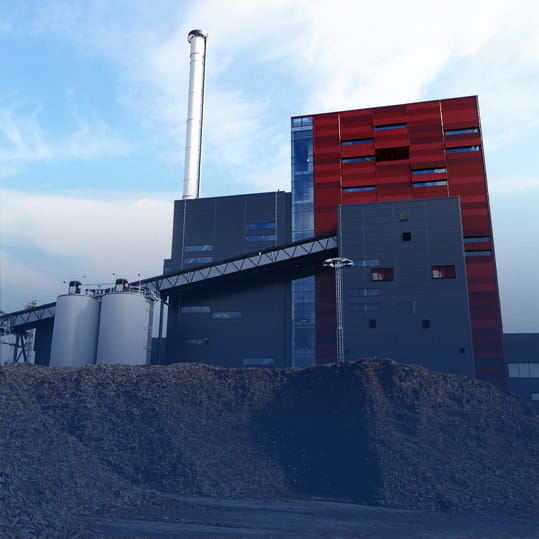 Biomass Power