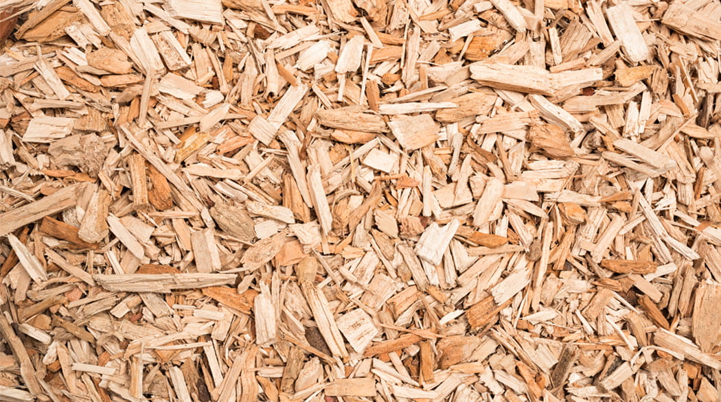 Wood Chip for Biomas Boiler