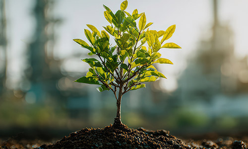 Renewable Energy Management System