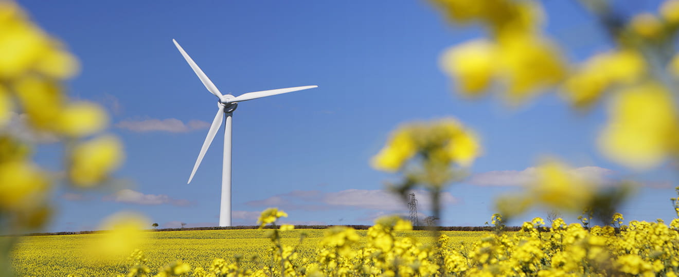 Die Herausforderung bei der Wegbereitung für erneuerbare Energien