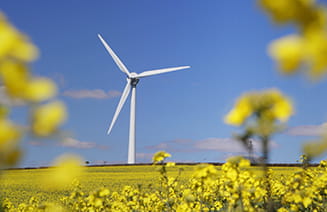 Die Herausforderung bei der Wegbereitung für erneuerbare Energien