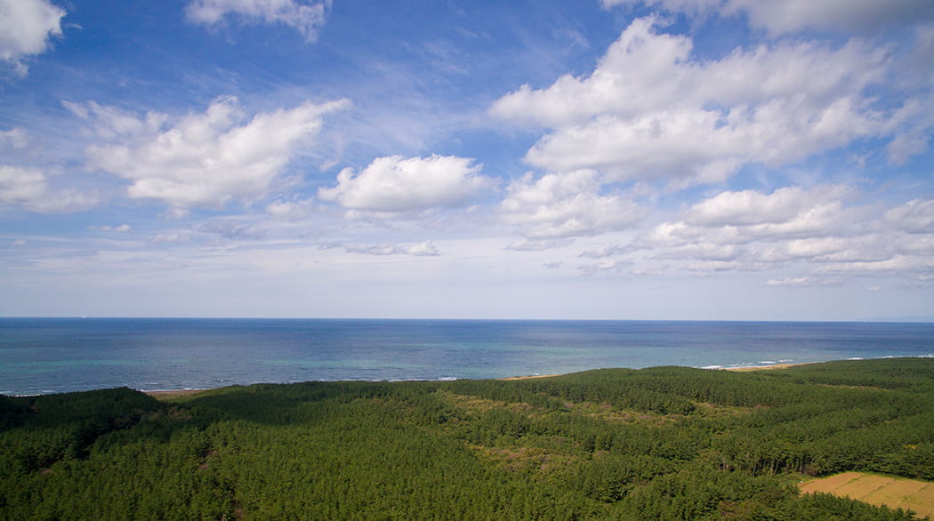 Tsugaru Plain