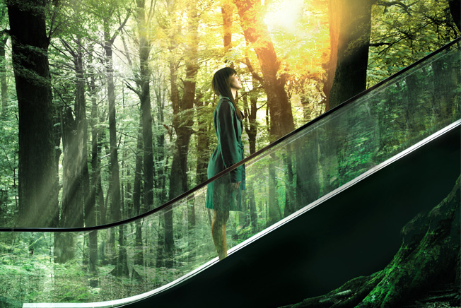 forest