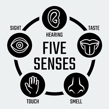 Five Senses