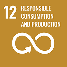 Sustainable Development Goals, Goal 12: Responsible Consumption and Production